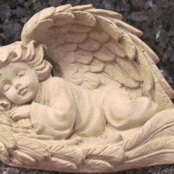 Angel in wings