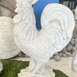 Rooster